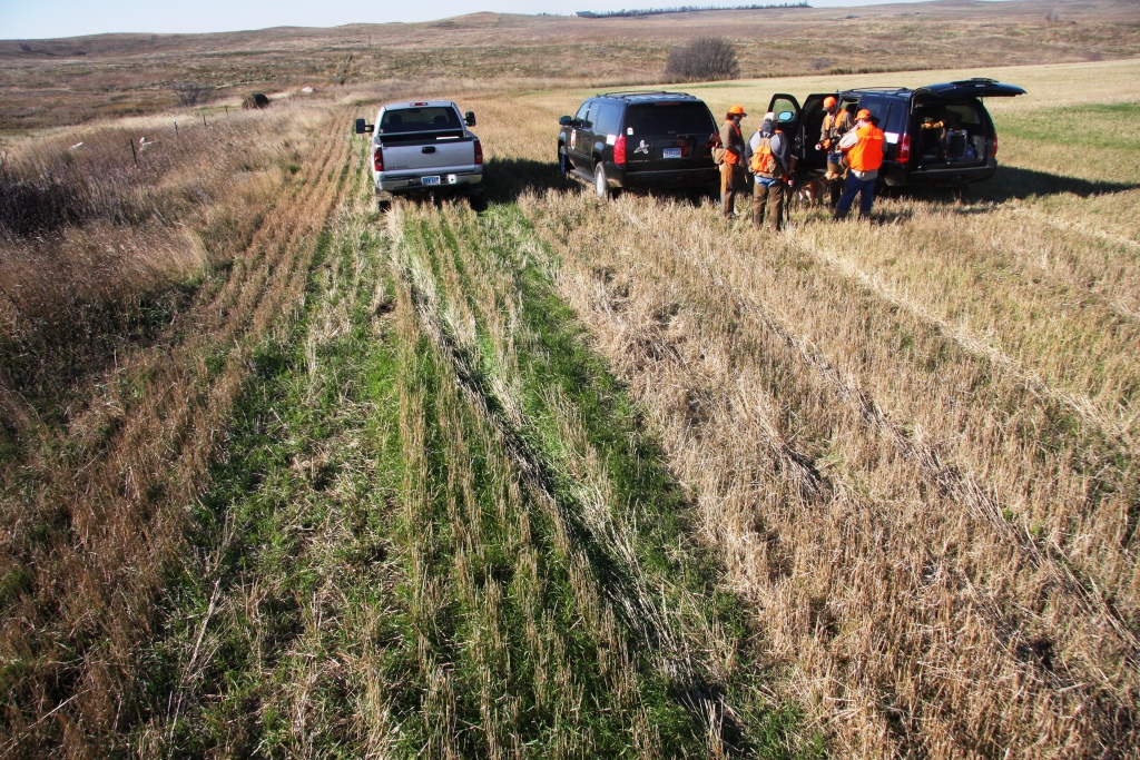 pheg-pheasant-trucks-field-inline