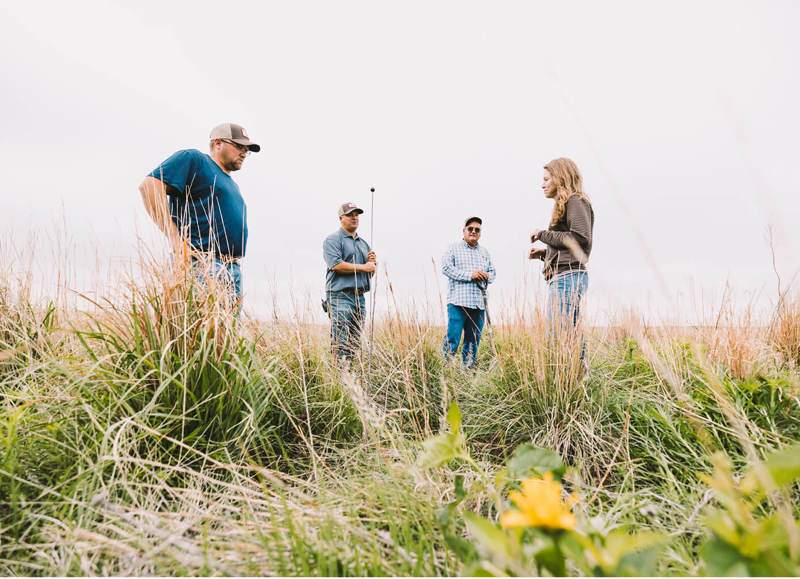 Biologists in field