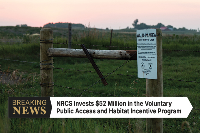 Pheasants Forever and Quail Forever Applaud NRCS Investment in Hunting Access on Private Lands
