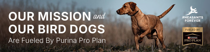 PF_PurinaBirdDog_Banner_1024x256_2026.jpg