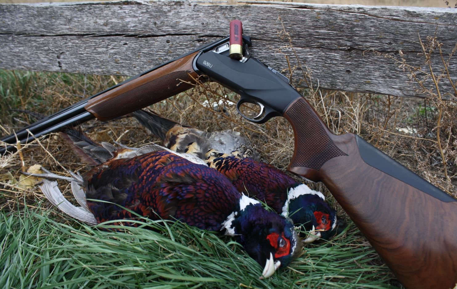Shotgun Review: Benelli 828U