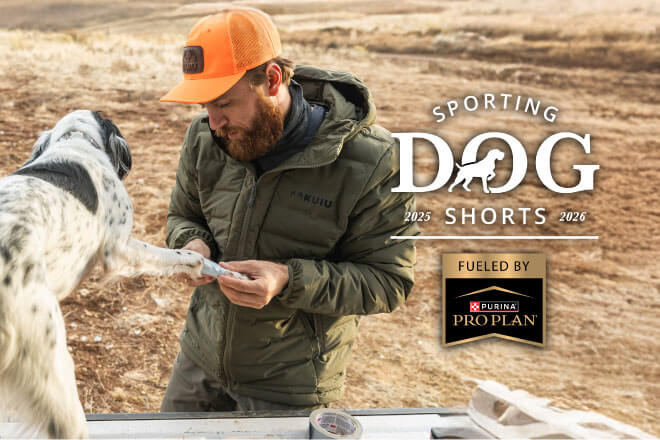 Sporting Dog Shorts - Tough Feet, Tough Dogs: A Veterinarian's Guide to Foot Care