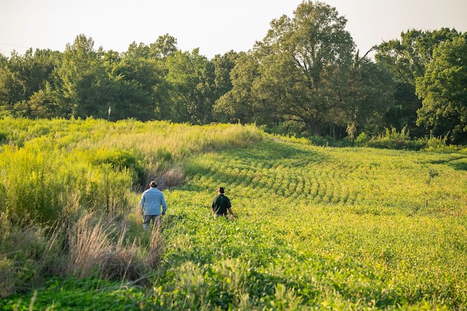 Pheasants Forever and Quail Forever Applaud New USDA Regenerative Pilot Program