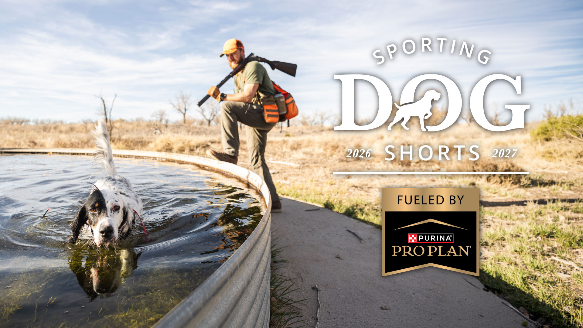 Sporting Dog Shorts - Science-Backed Cooling Strategies Every Sporting Dog Handler Should Know