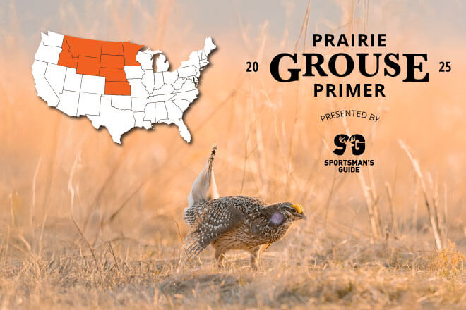 Prairie Grouse Primer 2025