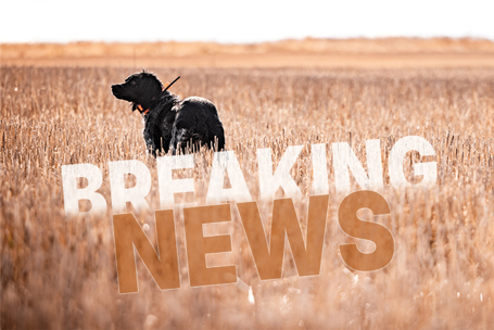 Pheasants-Forever-and-Quail-Forever-Applaud-House.jpg
