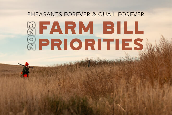 Pheasants Forever and Quail Forever Release 2023 Farm Bill Priorities