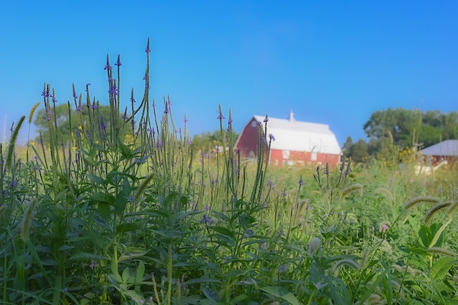 Turning Red Acres Green