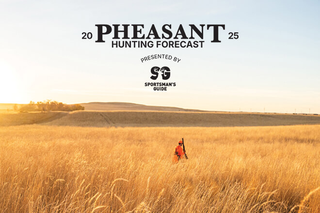 Pheasant Hunting Forecast 2025
