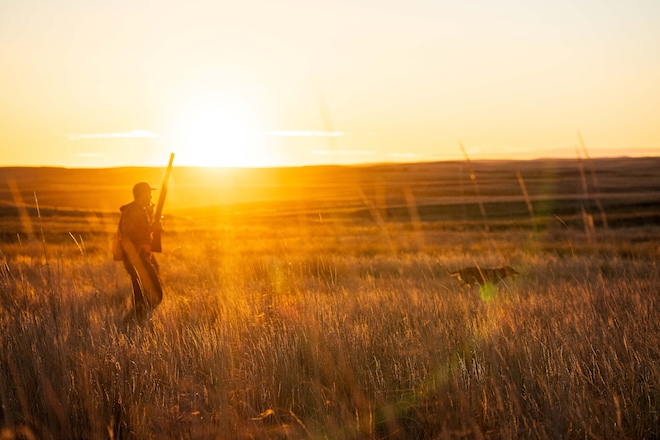 Pheasants-Forever-Receives-$744,000-Donation-from.jpeg