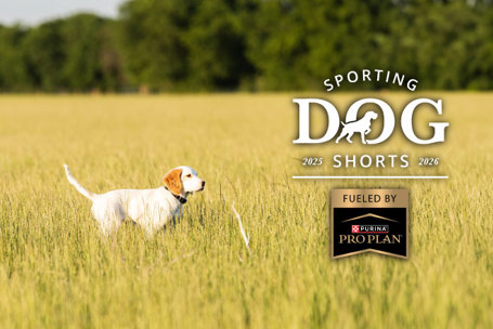 Sporting Dog Shorts - Puppy Exercise: How to Build a Lifetime Athlete — Without Breaking the Growing Dog