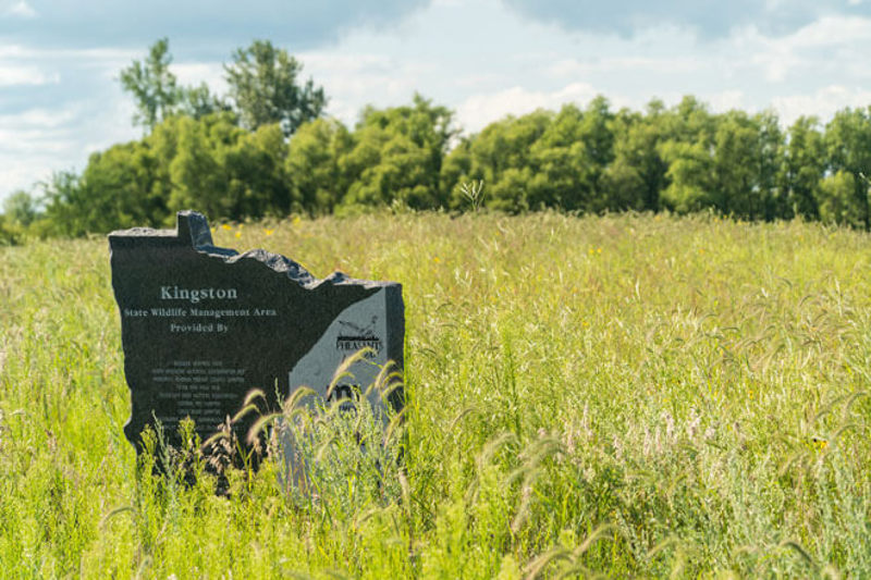 Kingston Minnesota stone sign in green field with trees and blue sky in background