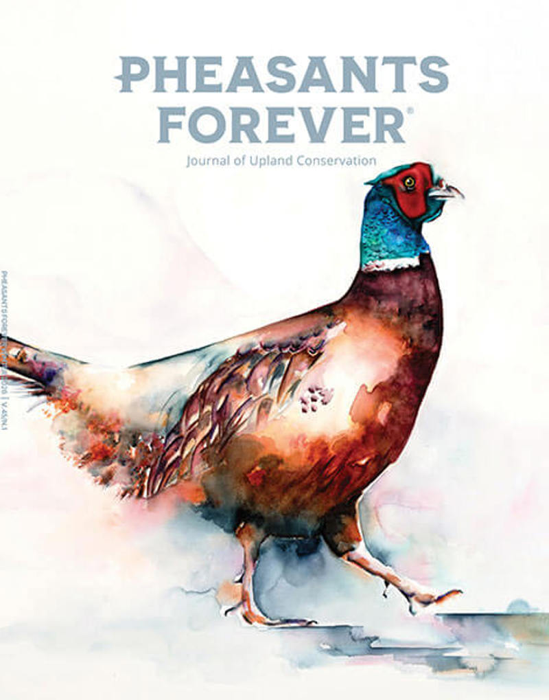 mg-pfj-winter-26-cover.jpg