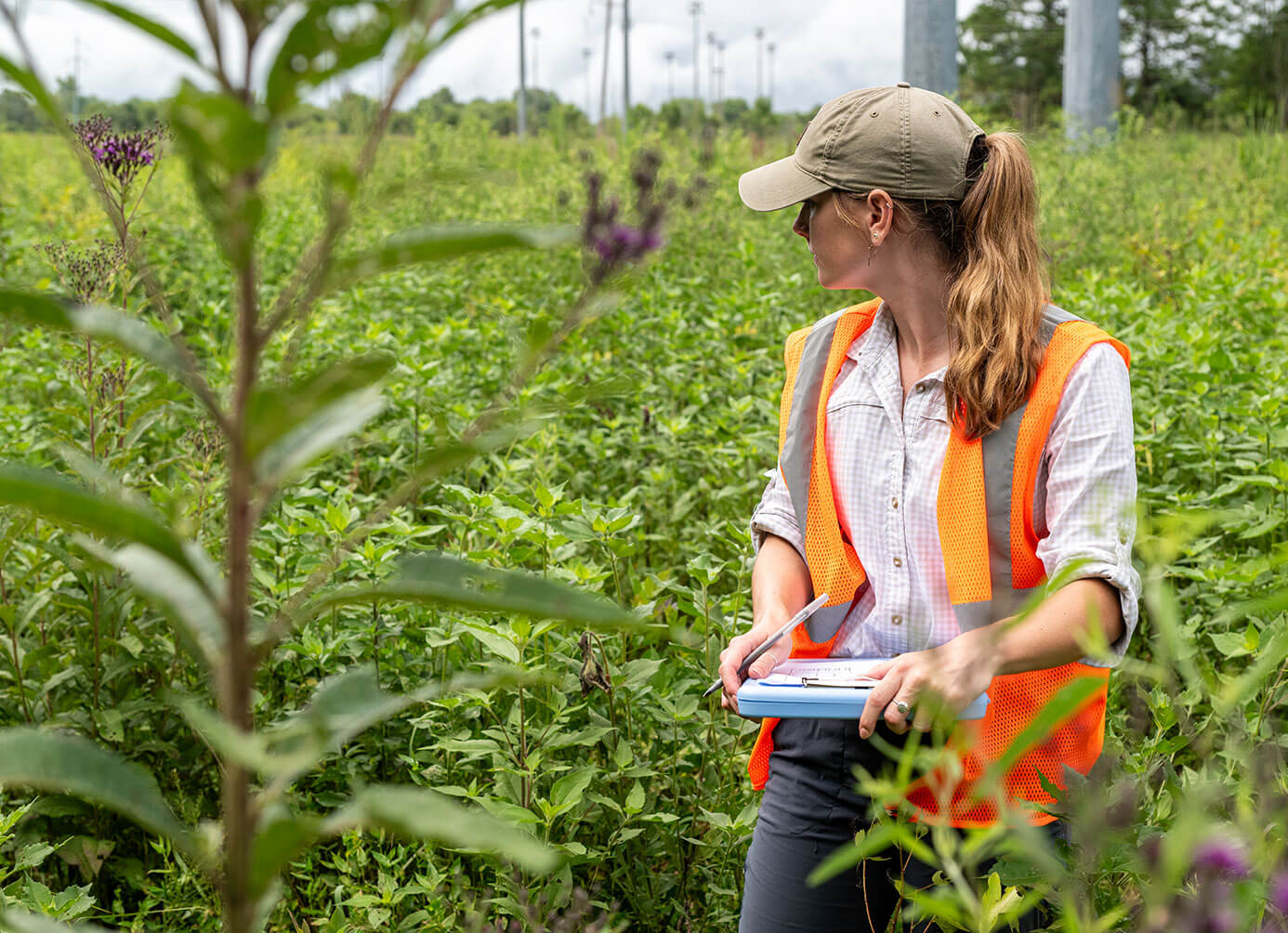 Biologist in field with clipboard