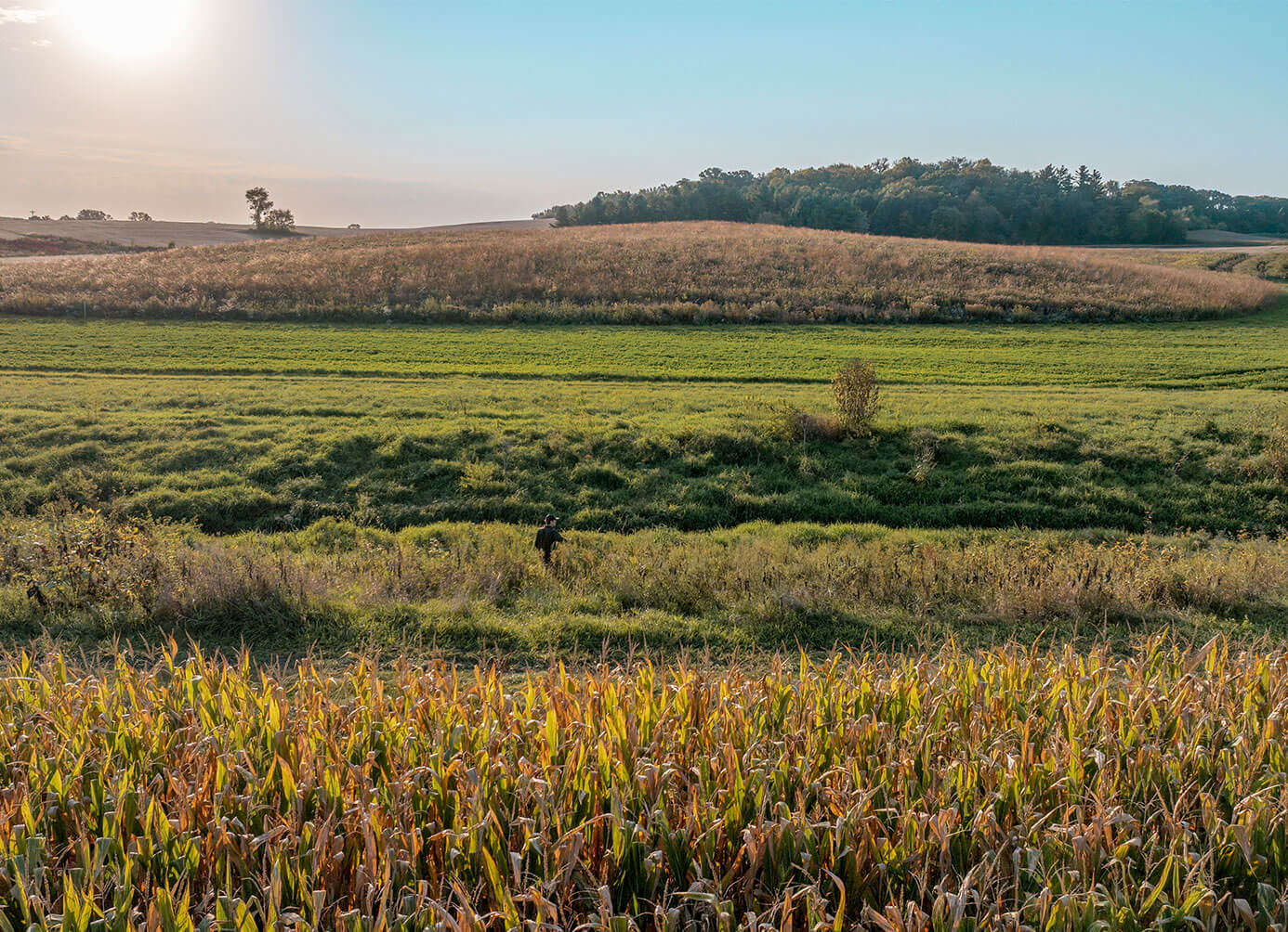 farm-bill-eqip-stacked.jpg