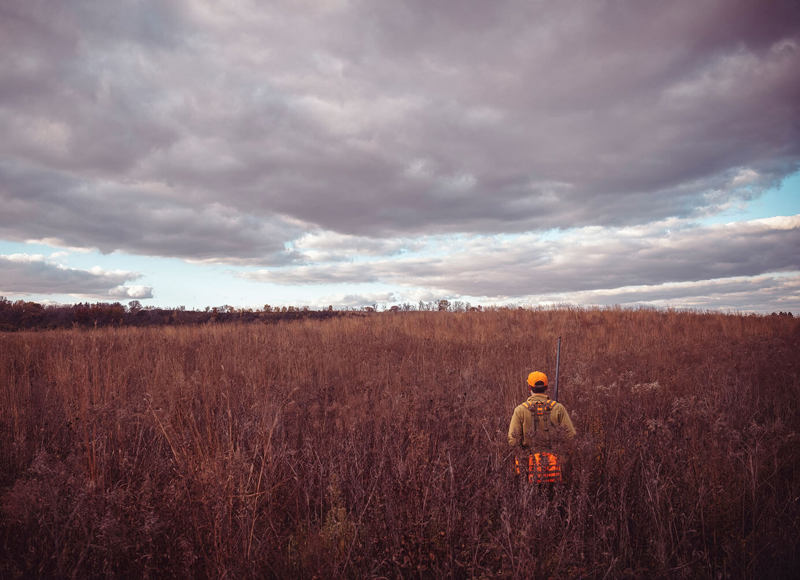 Hunter in field with various clouds