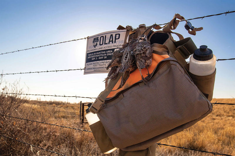 path-OK-bag-on-fence.jpg