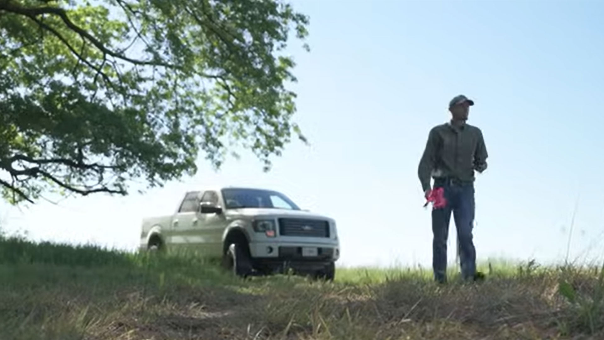 Saving Bobwhites in the South