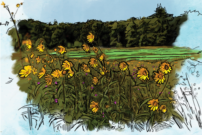 pint-sized-pollinator-plot-main.jpg