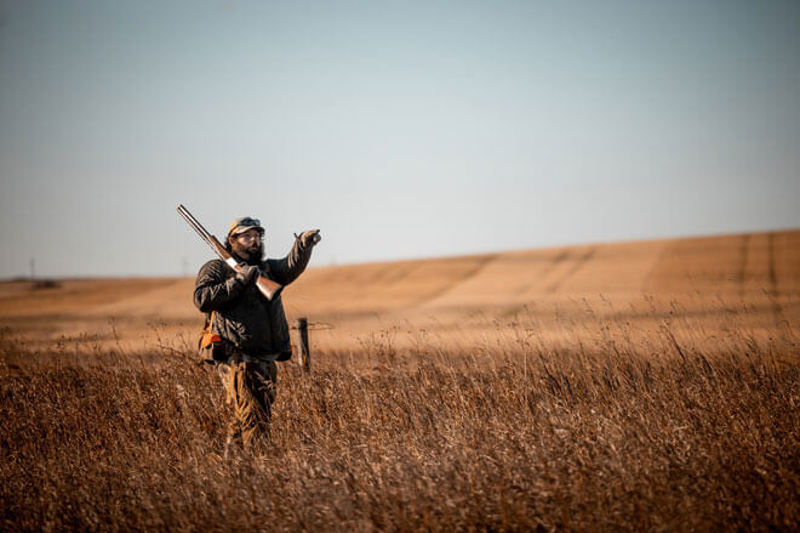 Hunter in field with gun pointing across field