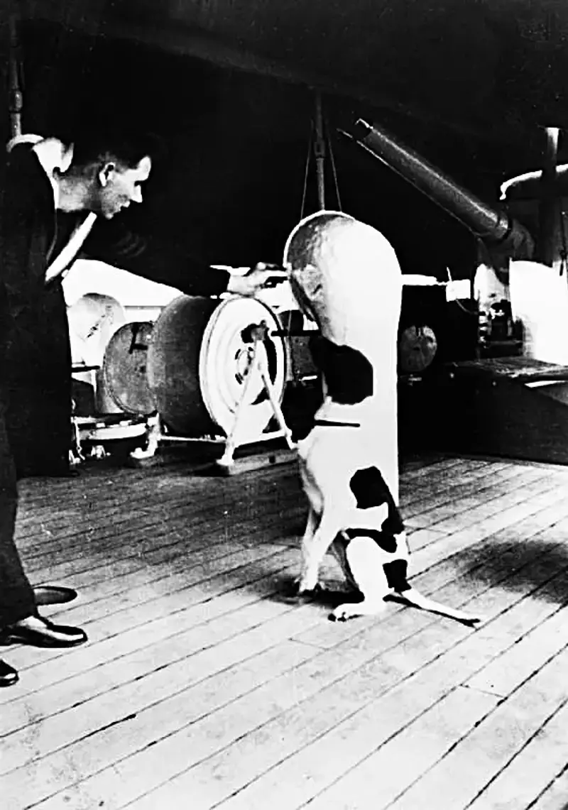 Judy sits up and listens to a sailor's commands on the deck of the HMS Grasshopper