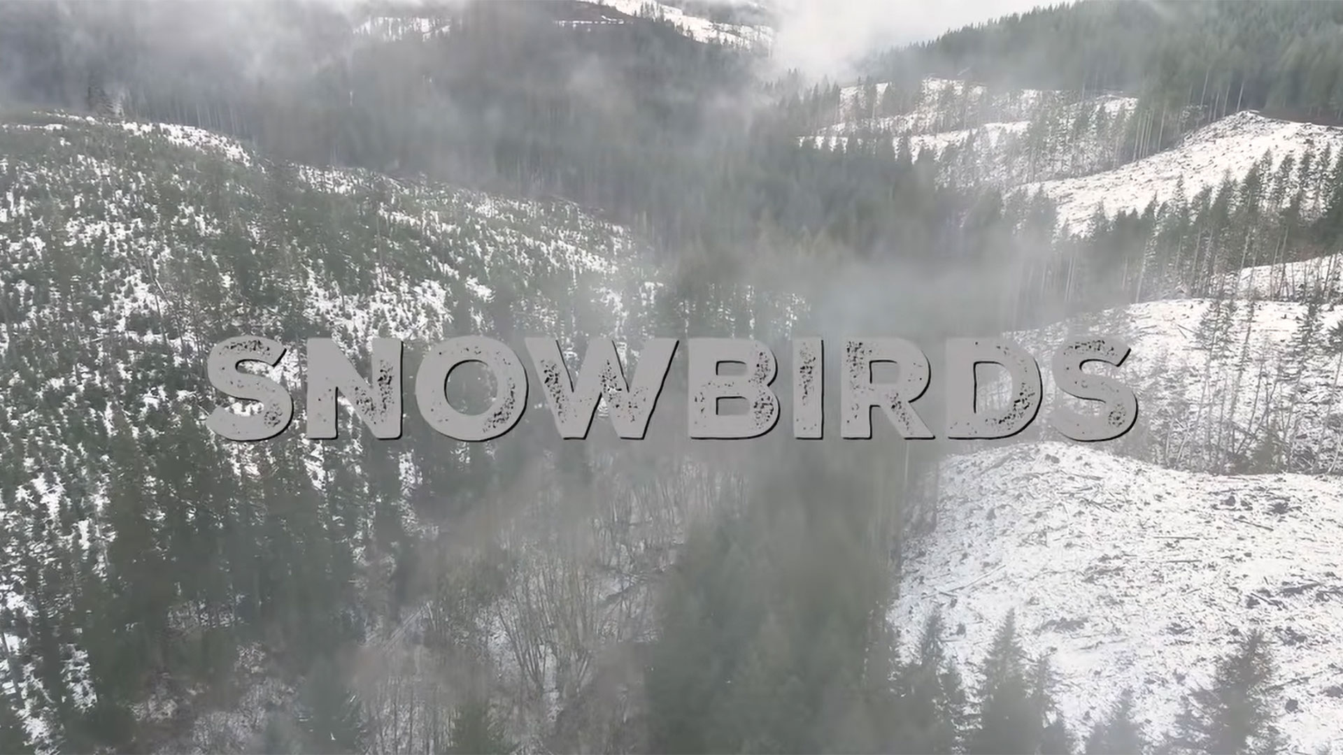 SNOWBIRDS: An Oregon Winter Adventure in Search of Mountain Quail, Valley Quail, and Chukar
