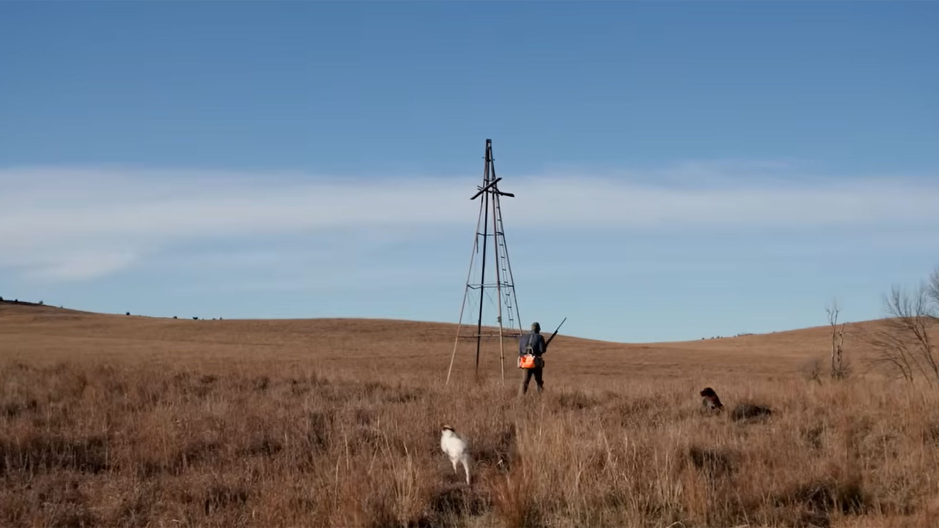 Rooster Road Trip XVI Ep. 1 Coveys of Quail