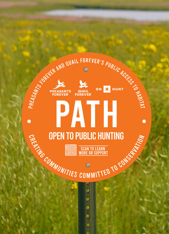 path-programs-item.jpg