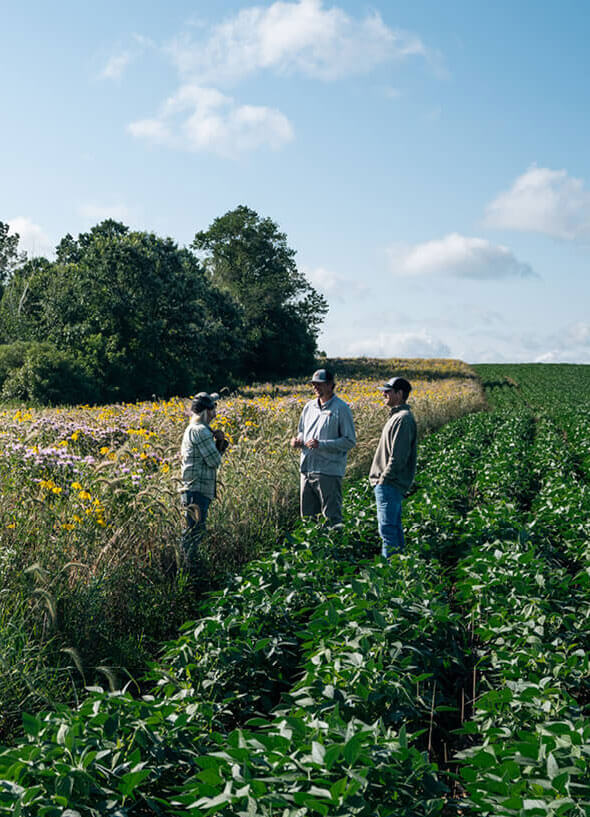 Biologists in field
