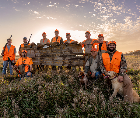 bird-dog-videos-bird-dog-media