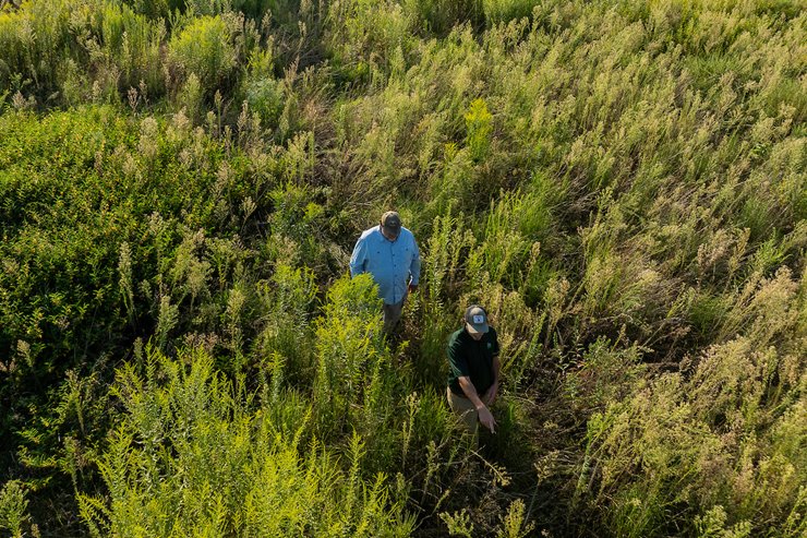 Farm Bill 2.0: A Closer Look at the Senate Discussion Draft