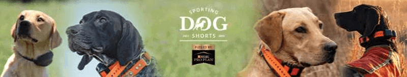 sds-banner.png