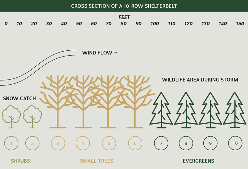 ShelterBelt graph