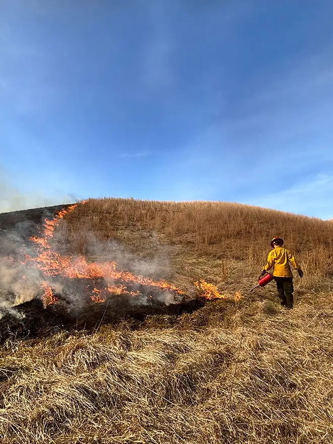 article-putting-fire-on-the-ground-in-illinois-inline-1.webp