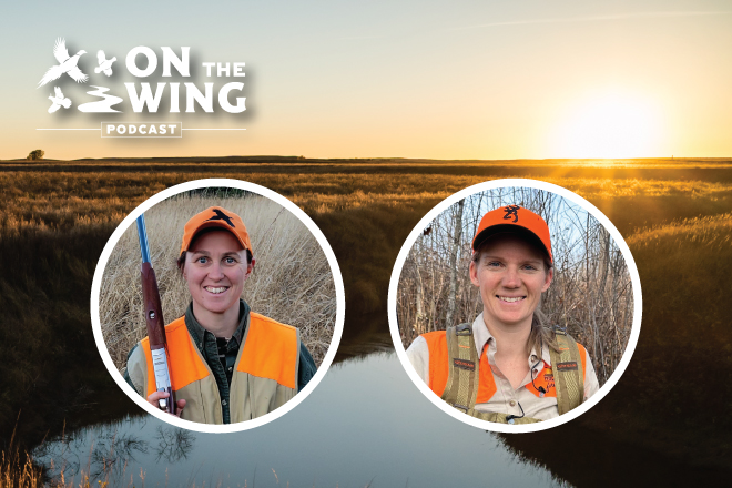 Podcast-EP-256-Introducing-the-Women-on-the-Wing-Podcast-Series