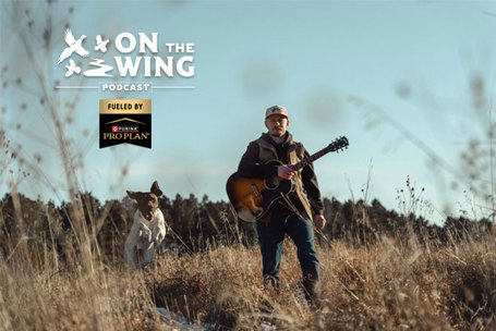 PODCAST EP. 317: Ballad of the Bird Dog