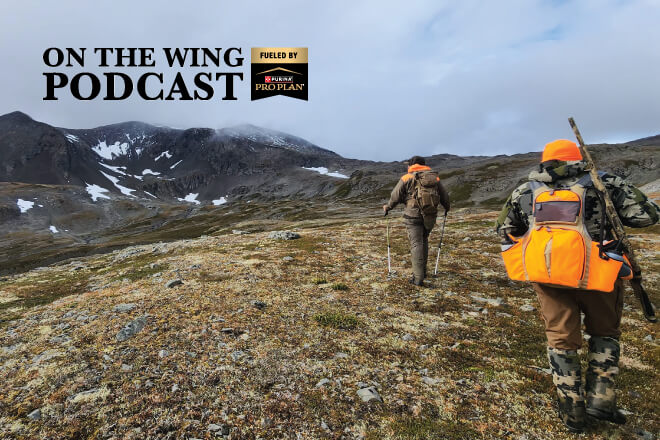 PODCAST EP. 337: Alaska Ptarmigan Adventure: Conquering the Upland Bird Slam with Your Bird Dogs