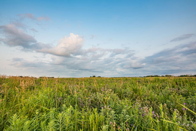 article-advocates-for-grassland-1.jpg