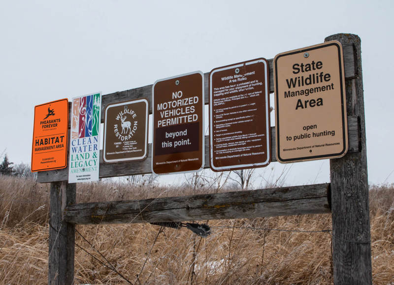 wth-signs-inline.jpg