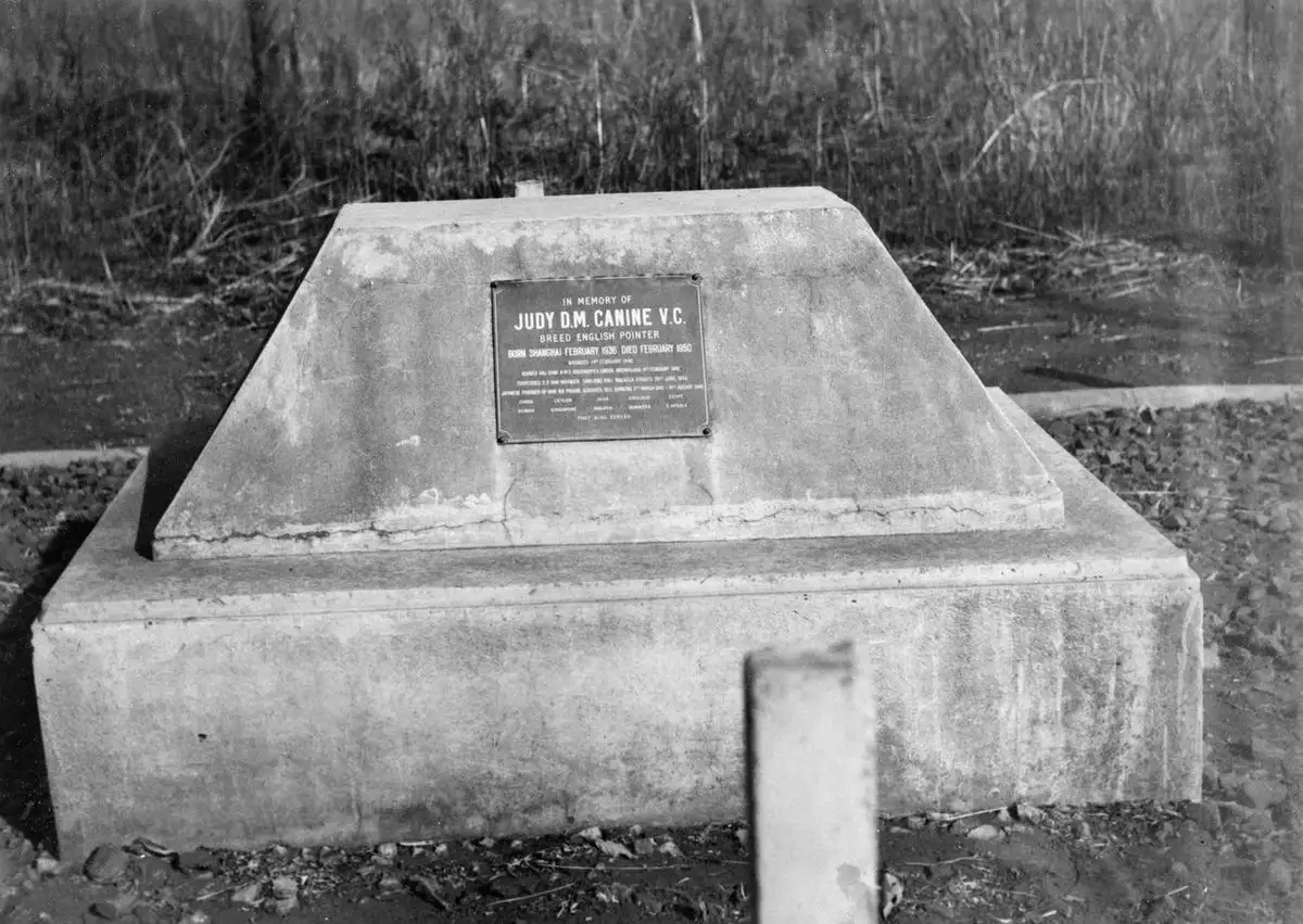 Judy's grave in Tanzania, Africa
