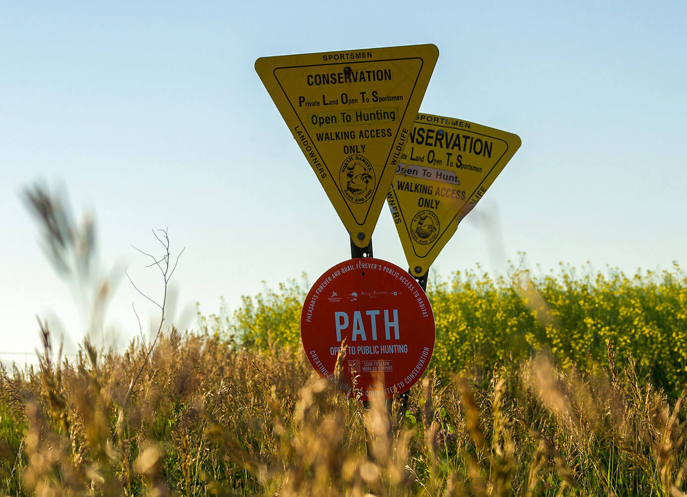 A yellow and red sign in a field with a tree and sky in the background